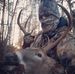 Matthew Dotson - Facebook