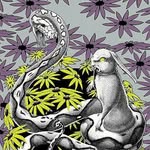 Matt Dove - @punkrockfish - Instagram