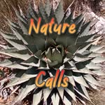 matt dove - @natureiscalling101 - Instagram