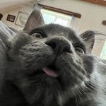 Matt Dryden - @matt.arete - Instagram