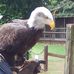 Matthew Dryden - Facebook