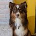 Matt Dubé - Facebook