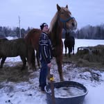 Matt Dubeau - @matt.dubeau.37 - Instagram