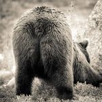 Matt Duffey - @mattduffey1979 - Instagram