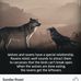 Matthew Edlin - Facebook