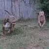 Matt Edson - @matt.edson1 - TikTok
