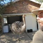 Matt Eggert - @buy_a_donkey - Instagram
