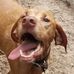 Matt Eide - Facebook