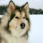 Matt Vander Eide - @mattvandereide - Instagram