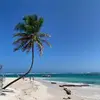 sophiematteidefloramy - @sophiematteidefloramy - TikTok