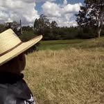 Teodoro Mattei - @mattei.del_agro - Instagram