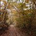 Matt Ekstrom - Facebook