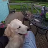 Matt Eldridge - @matteldridge2 - TikTok