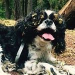 Matt Elton - @meltonite - Instagram