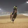 Matt Ennis - @matt631542 - TikTok