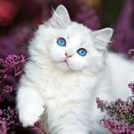 Ewerton Matt - @ewertonmatt - Instagram