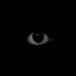Matteo - @matt_eye_ - Instagram