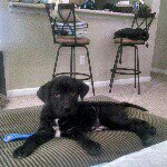 Matt Fahey - @matt.fahey.3511 - Instagram