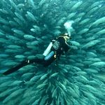 Matt Fahey - @matt.fahey.33 - Instagram