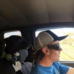 Matt Fanning - @matfanning - Instagram