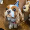 Matt - @matt.farr - TikTok