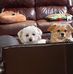 Matthew Farrington - Facebook