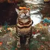mattfeeley599 - @mattfeeley599 - TikTok