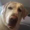 Matt.feldman - @matt.feldman - TikTok