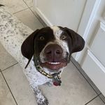 Matt Finley - @fattminley - Instagram