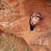 Matt Flinn - Facebook
