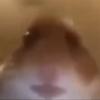 Matt Fortune - @matt.fortune - TikTok