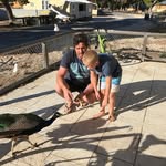 Matt Galloway - @gallowaystonemasonry - Instagram