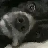 user4163998677536 - @mattjgarratt13 - TikTok