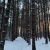 Matthew Geib - Facebook