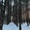 matthewgeib375 - @matthewgeib375 - TikTok