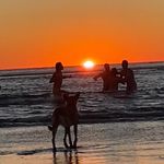 Matt Gerlach - @sassy.matt - Instagram