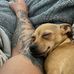 Matthew Koschke - Facebook