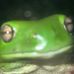 Matthew Giddens - Facebook