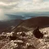 matt_gladden - @matt_gladden - TikTok