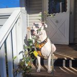 Matt Grasso - @grassomatt - Instagram