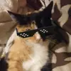 Mattia Grasso - @mattia.grasso1 - TikTok