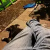 Matt Greenough - @mattgreenough - TikTok