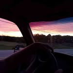 Matt Grisham - @grisham_matt - Instagram
