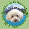 Matti - @matti.grooms - TikTok