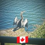 Matt Grubb - @grubb6109 - Instagram