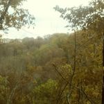 Matt Grubb - @matt.grubb.5268 - Instagram