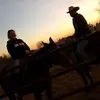 Matt Grubb - @mattgrubb77 - TikTok