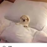 @matt__haig - Instagram