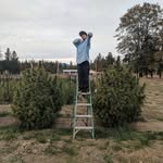 Matt Hale - @ohales420 - Instagram