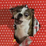 Matt Halverson - @matt.halverson1 - Instagram
